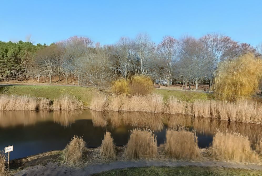 park
