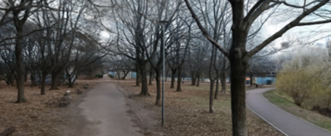 Park Szczęśliwicki small scene